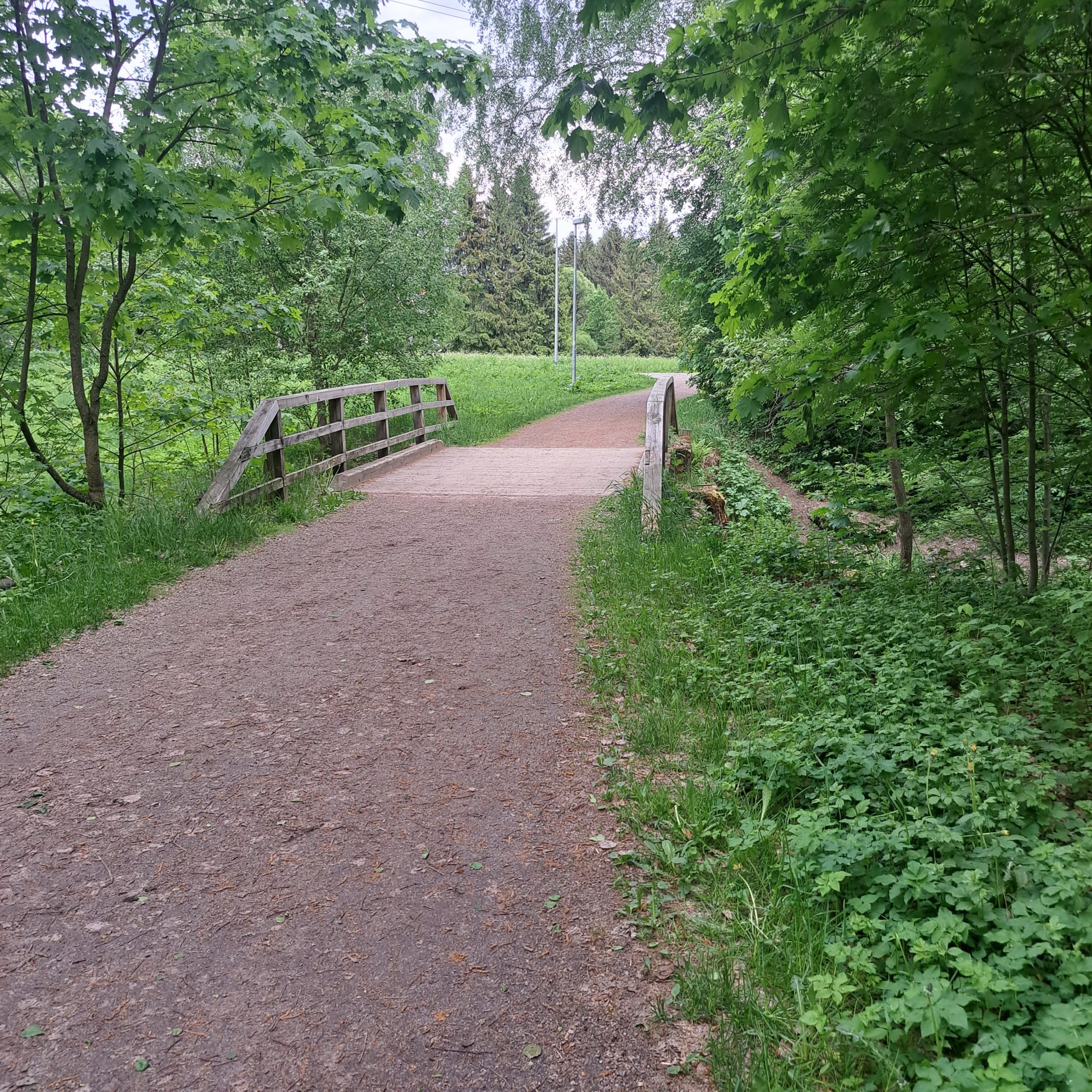 Yrityksen talous kuntoon – selkeä polku stressittömään arkeen